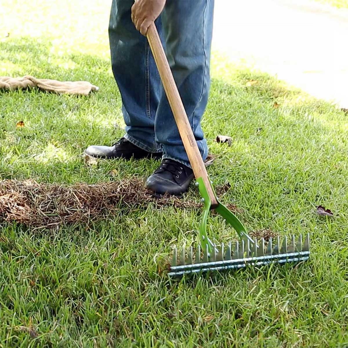 Dethatching